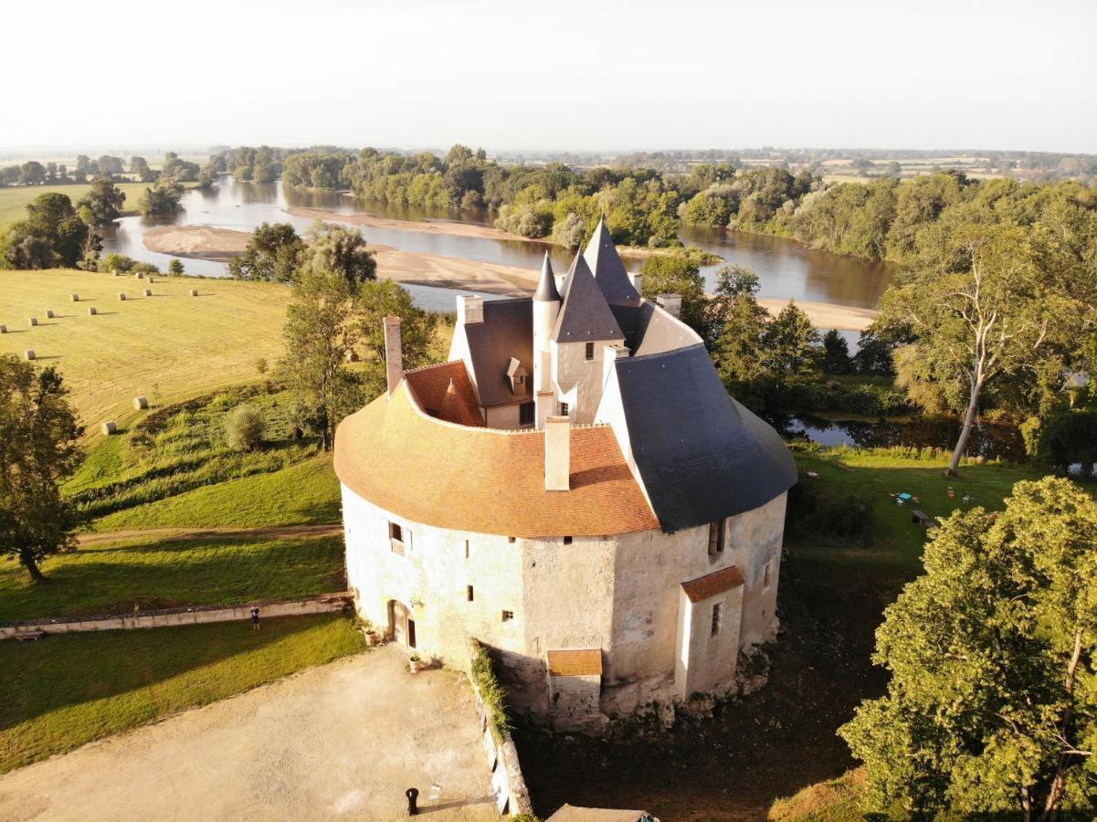 Un Chateau En Bourgogne Saincaize-Meauce Ngoại thất bức ảnh