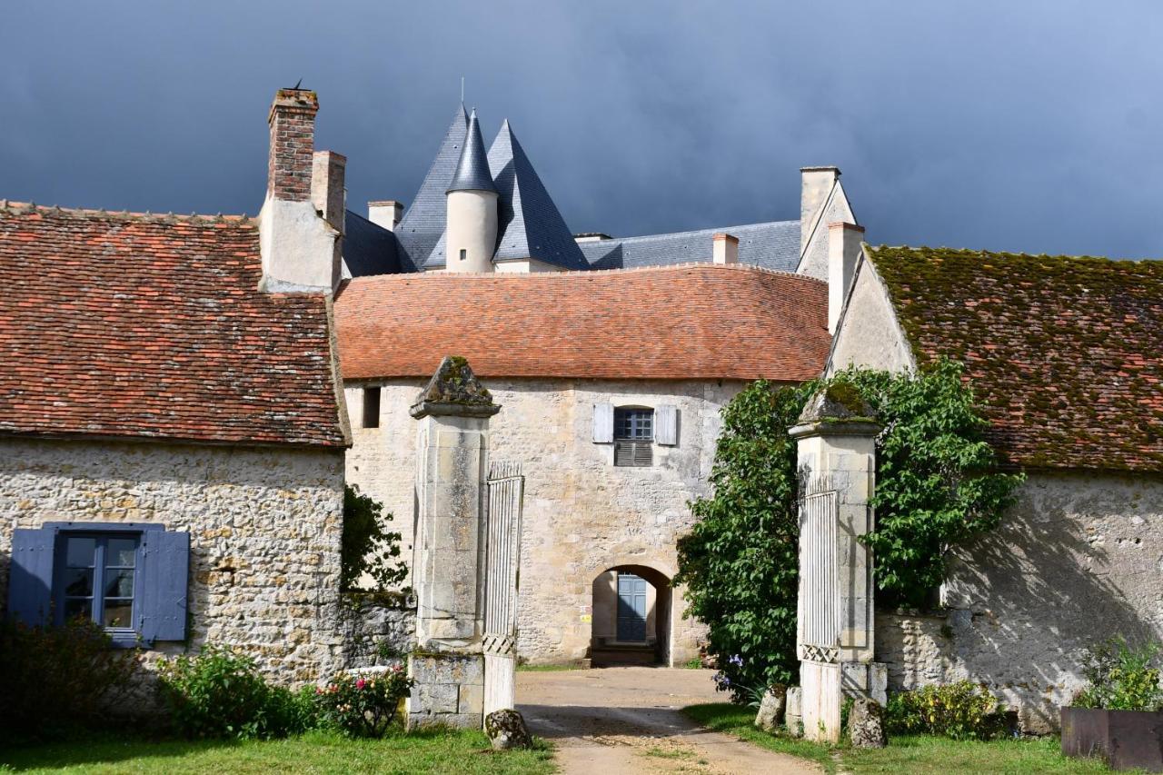 Un Chateau En Bourgogne Saincaize-Meauce Ngoại thất bức ảnh