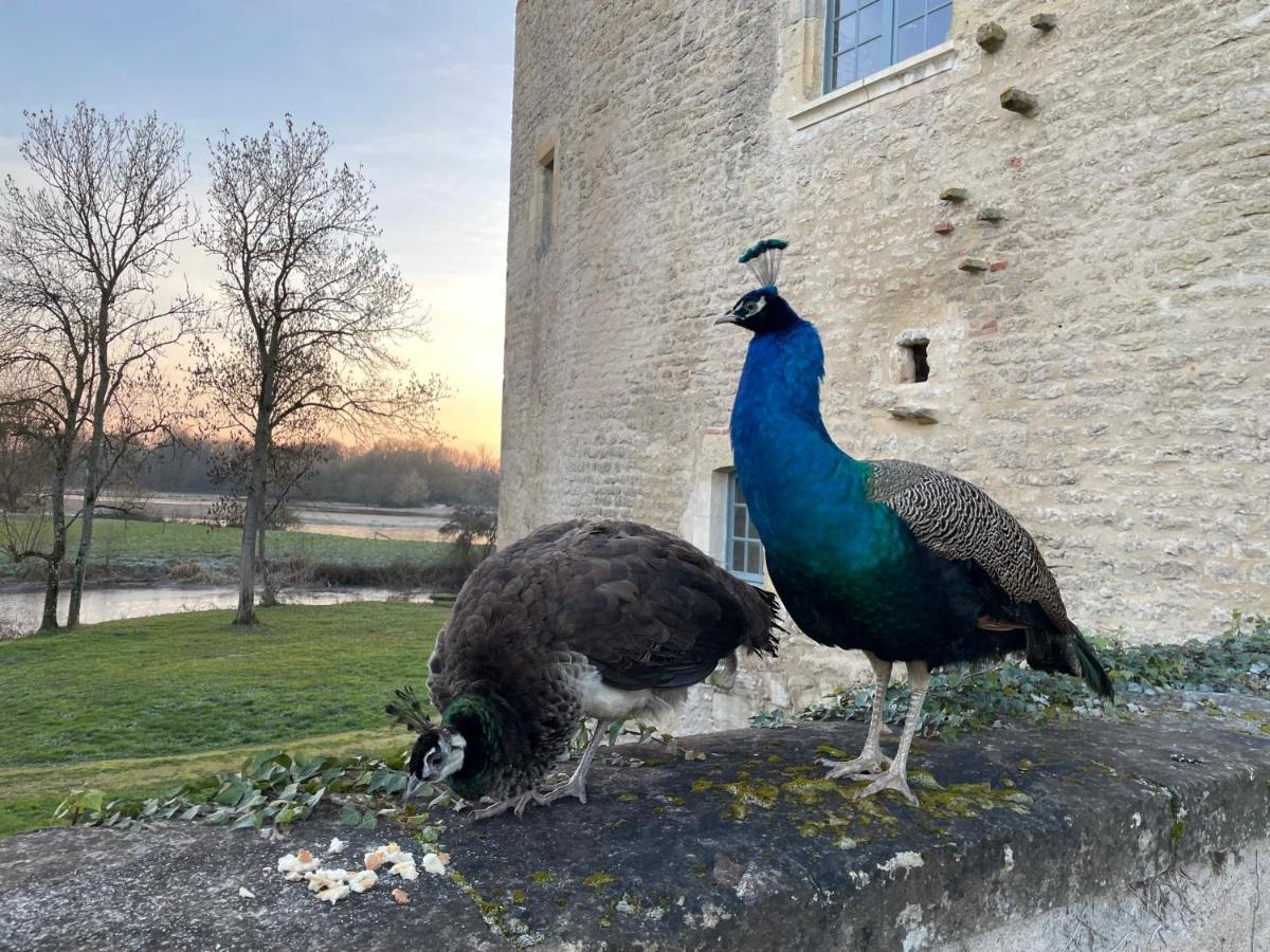Un Chateau En Bourgogne Saincaize-Meauce Ngoại thất bức ảnh